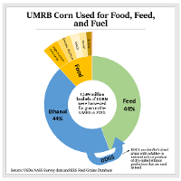 UMRB Corn Used for Food, Feed, and Fuel Graph