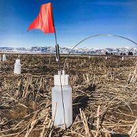 WAFERx field tests in Bozeman, MT to measure carbon and nitrogen levels in the soil under different land management practices.