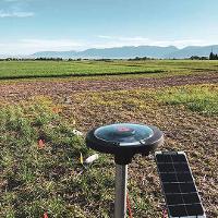 WAFERx field tests in Bozeman, MT to measure carbon and nitrogen levels in the soil under different land management practices.