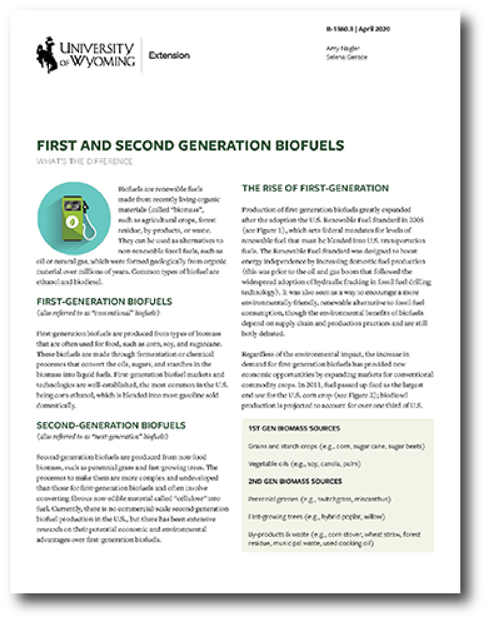 image of the first page of the 'First and Second Generation Biofuels' fact sheet