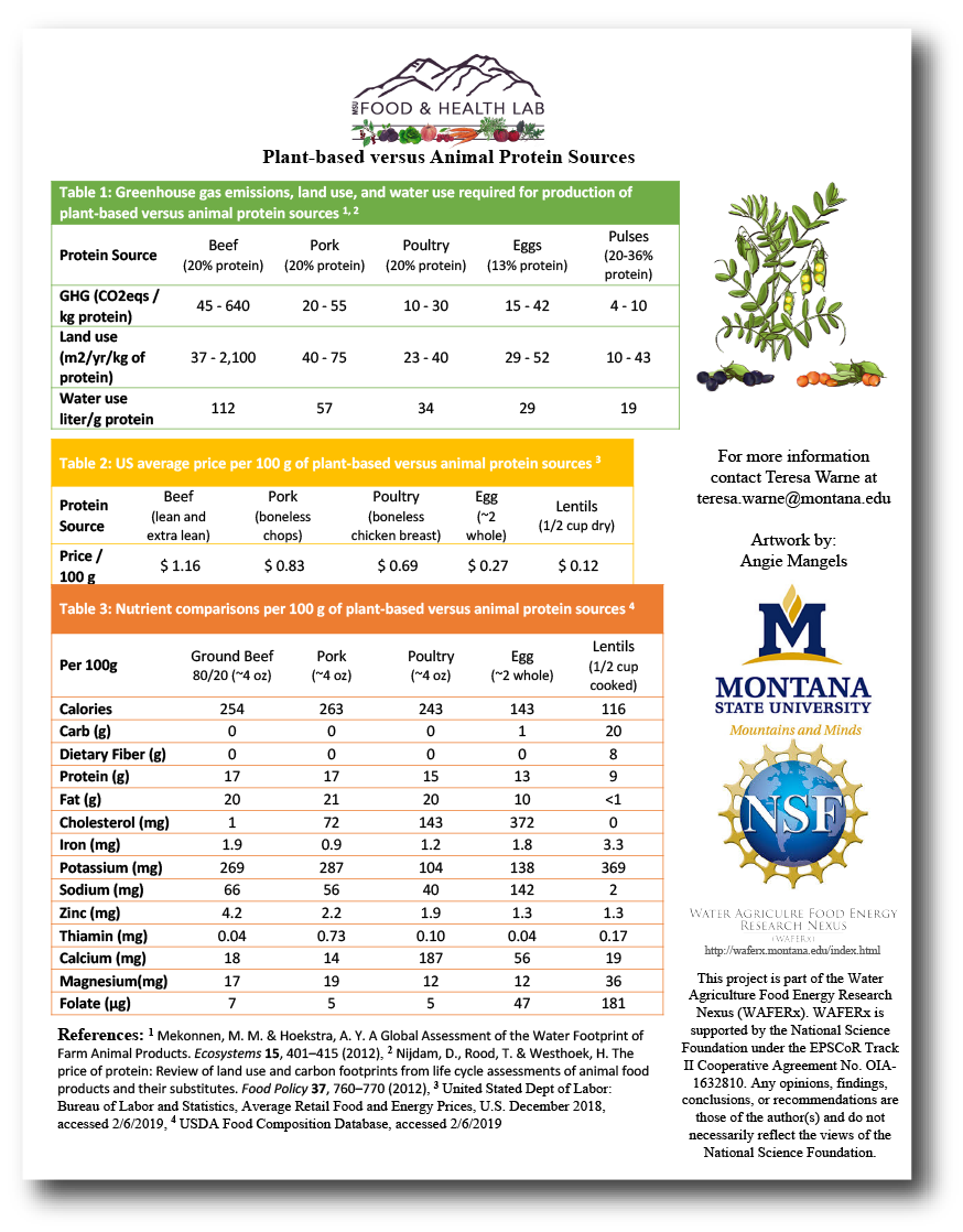 Image of Plant-based Versus Animal Protein Fact Sheet