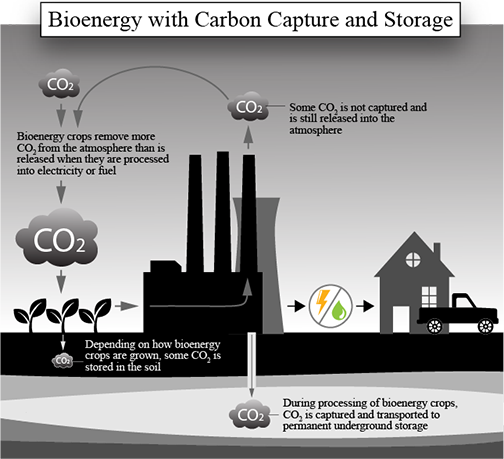 diagram of BECCS