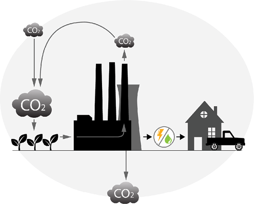 A diagram of BECCS--bioenery crops absorbing CO2 from the air, a power plant turning the crops into energy, CO2 being captured and stored underground