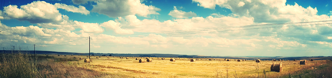 a field with bales of hay and power lines going through it, a blue sky with clouds in the background