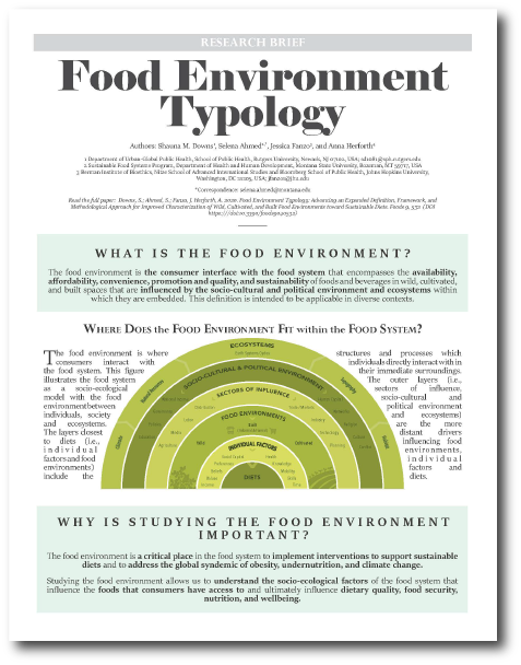 An image of the first page of the Food Environment Typology Research Brief