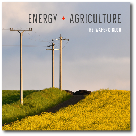 Image of the Energy + Agriculture blog