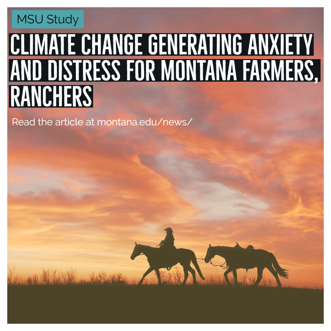 An image of a rancher riding a horse in the sunset and the words "Climate change generating anxiety and distress for Montana farmers, ranchers"