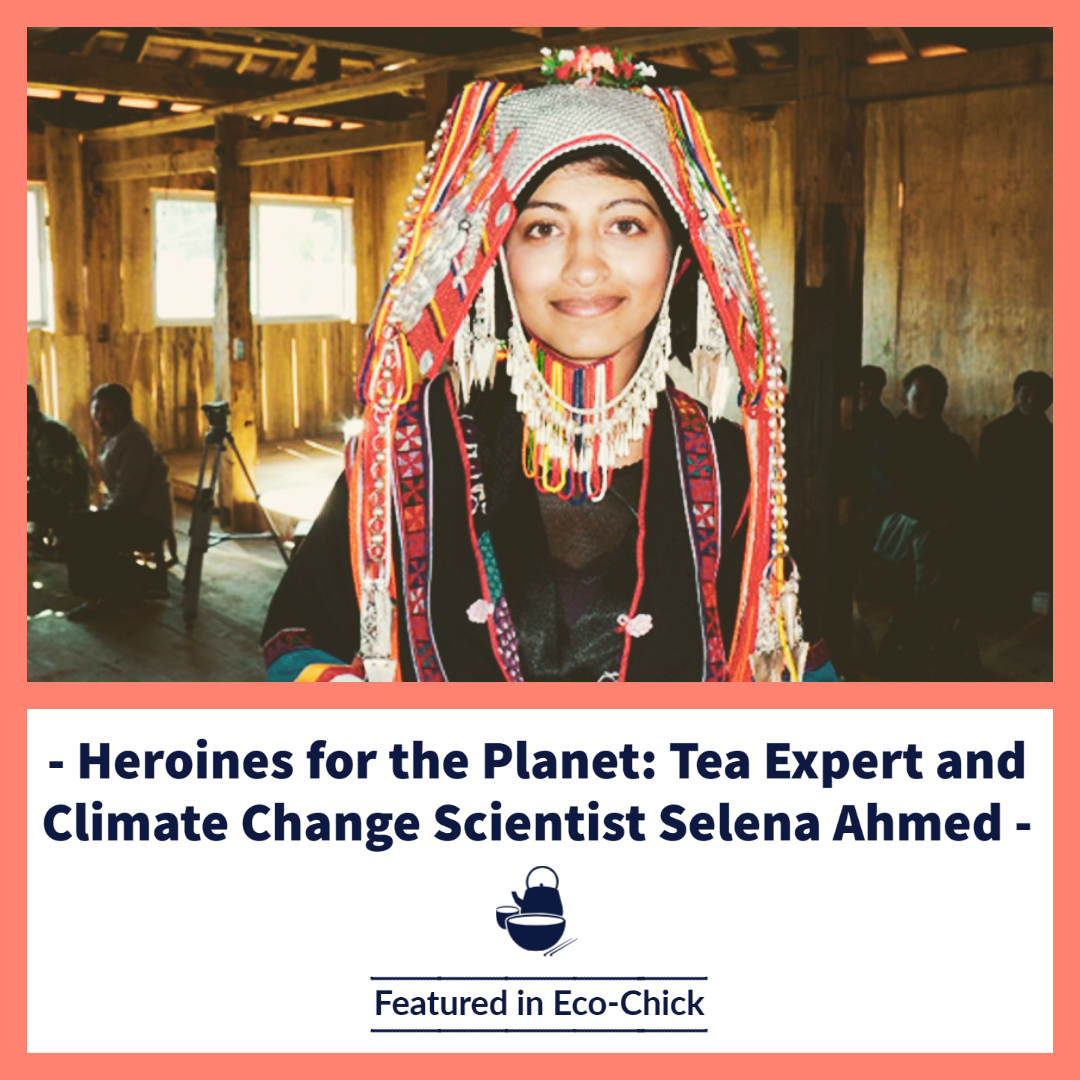 A photo of Dr. Selena Ahmed and the words "Heroines for the Planet: Tea Expert and Climate Change Scientist Selena Ahmed"