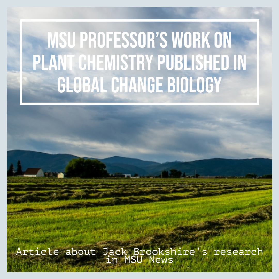 And image of a field of plowed crops with a blue sky in the background. The words "MSU professor’s work on plant chemistry published in Global Change Biology"