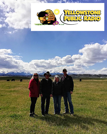 Four ranchers standing in a pasture with cows, mountains, and clouds in the background; the Yellowstone Public Radio logo in the upper right corner