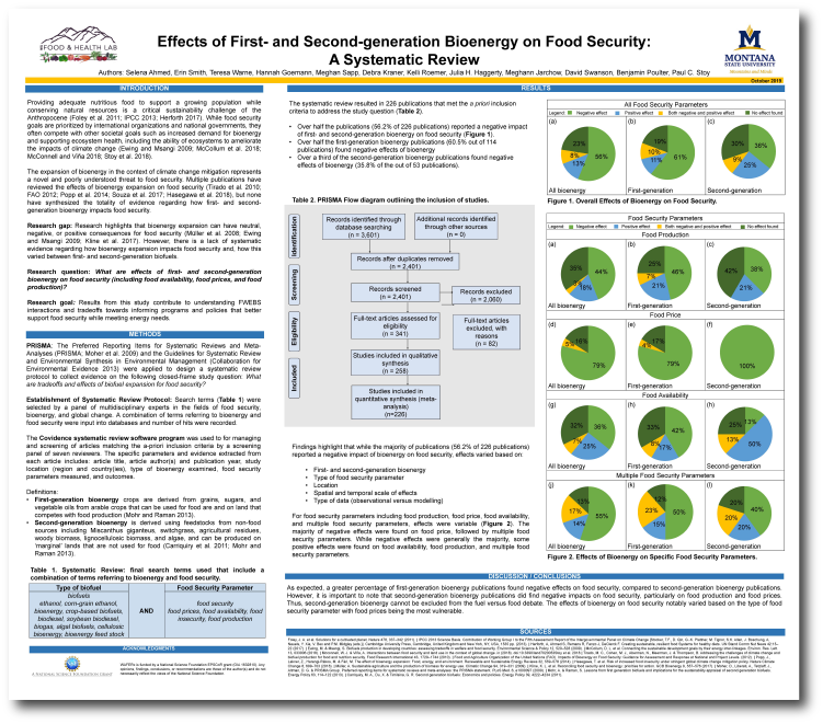 An image of the "Effects of First and Second Generation Bioenergy on Food Security" poster