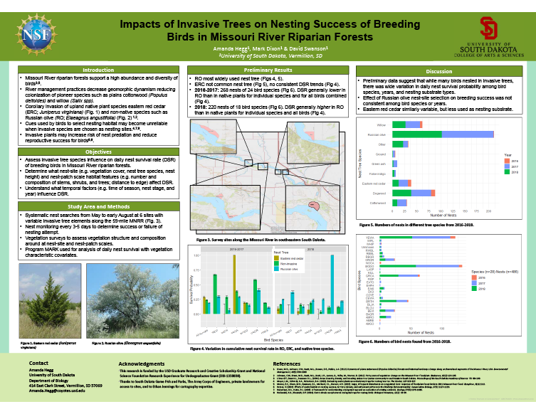 Impacts of Ivasive Trees Poster