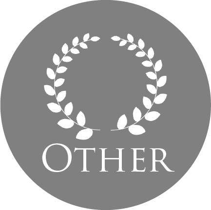 other-logo-grey