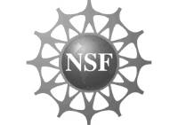 The National Science Foundation logo in black and white