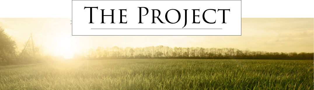 The Project