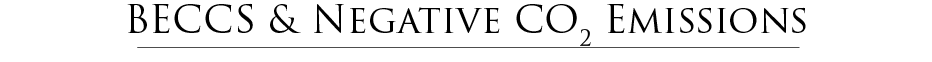 BECCS and Negative CO2 Emissions